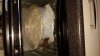 IMG-20180208-WA0009.jpeg