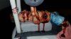 IMG-20171111-WA0010.jpeg