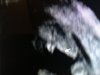 4ADBB65A-9FB4-4D71-A746-2B80B53FFB27.jpeg