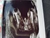 20180220_102724.jpg