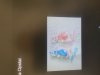 40FD3DEE-FC35-45B4-B2C1-3A4530586685.jpeg
