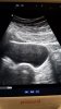 IMG-20180221-WA0016.jpg