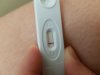 20180223_085359.jpg