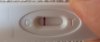 20180224_102849.jpg