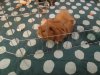 20180225_182156.jpg