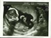 Scan.jpg