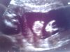 2012-11-27 09.11.14.jpg