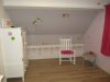 beebkamer, plantiebakken 011.jpg