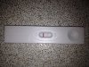 test 12 dpo.jpg