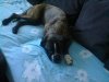 Foto0196.jpg