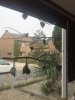 2012-10-23 09.57.10.jpg