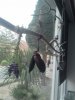 2012-10-23 09.58.47.jpg