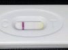 ZWtest.jpg