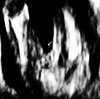 baby2.2.jpg