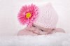 zw20121202_4684.JPG
