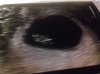IMG-20180226-WA0019.jpeg