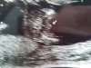 20180228_114439.jpg