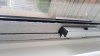 IMG-20180301-WA0005.jpeg