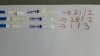 IMG-20180301-WA0010.jpg