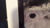 IMG-20180302-WA0002.jpeg
