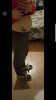 Screenshot_20180302-194245.png