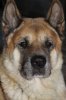 IMG-20180228-WA0001.jpg