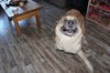 IMG-20180228-WA0000.jpg