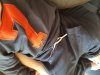 20180304_141654.jpg