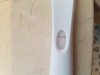20180306_084554.jpg