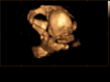received_1779906962066440.png