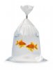 goudvis-twee-een-zak-3379365.jpg