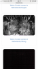 CEFCDA42-FF26-4CD8-8A82-0256459A1DB5.png