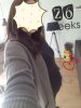 20180319_100254.jpg