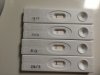 BAB909F1-5E4A-4BEC-B4D9-43B30F8B3287.jpeg