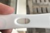 A0E9431D-607A-4B2C-B0D6-45C85C98579F.jpeg