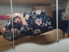 20180318_140748.jpg