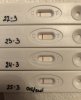 D449761B-5340-4344-91D4-5038DD0CB9D8.jpeg