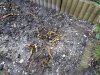 20180326_110716.jpg