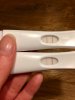 D122C07C-62D6-495B-9715-760DEE49ED26.jpeg