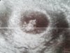 20180328_125814.jpg