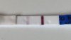 74AC4C48-511E-455B-8D4B-040DA58ECBE8.jpeg