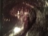 65964287-666E-4E2B-8207-C041298C9C43.jpeg
