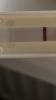 8CC299A4-440E-4A37-ADE9-A0FC50BD09DF.png