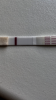 3E555503-5852-4673-B8AB-9EAD7DBDCAD7.png