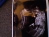 20180329_193259.jpg