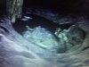 9BD60C84-A546-4FD3-92CD-34484B593A18.jpeg