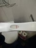 IMG_20180403_081326.jpg