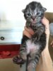 IMG-20180402-WA0002.jpg