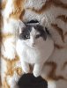 20180403_114437.jpg