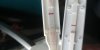 20180407_075235.jpg